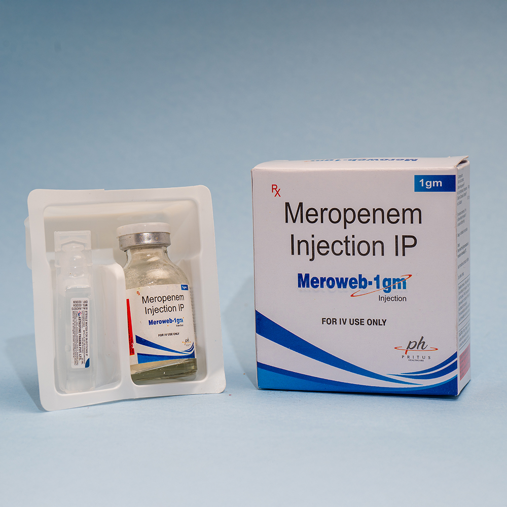 MEROWEB-1GM
