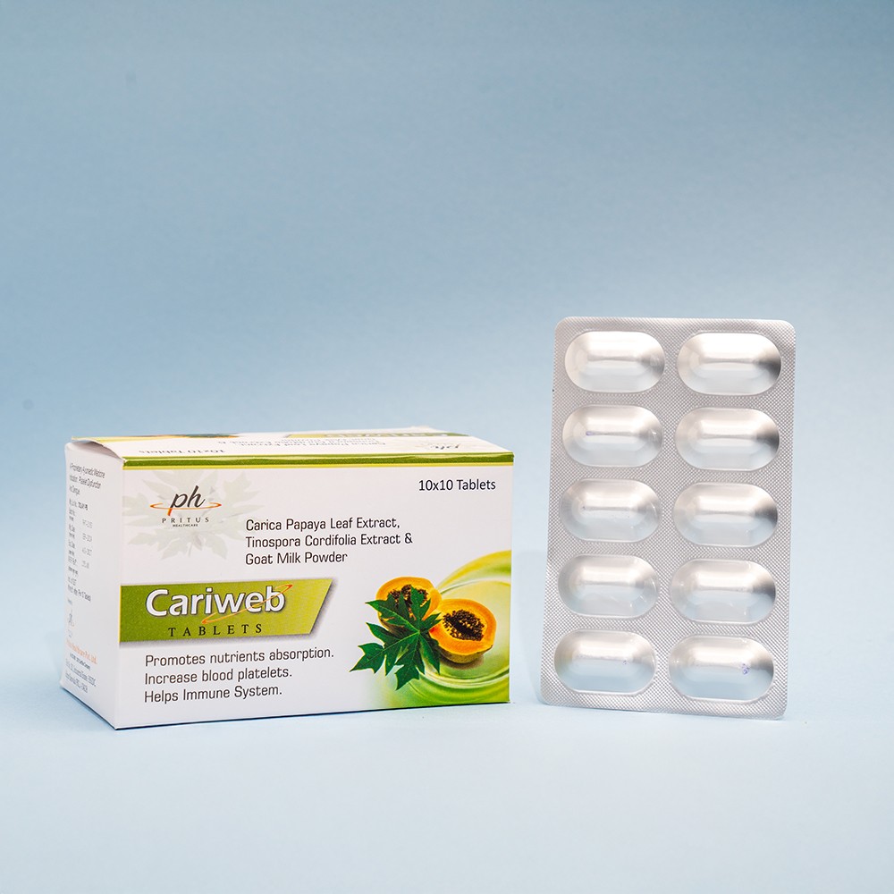CARIWEB
